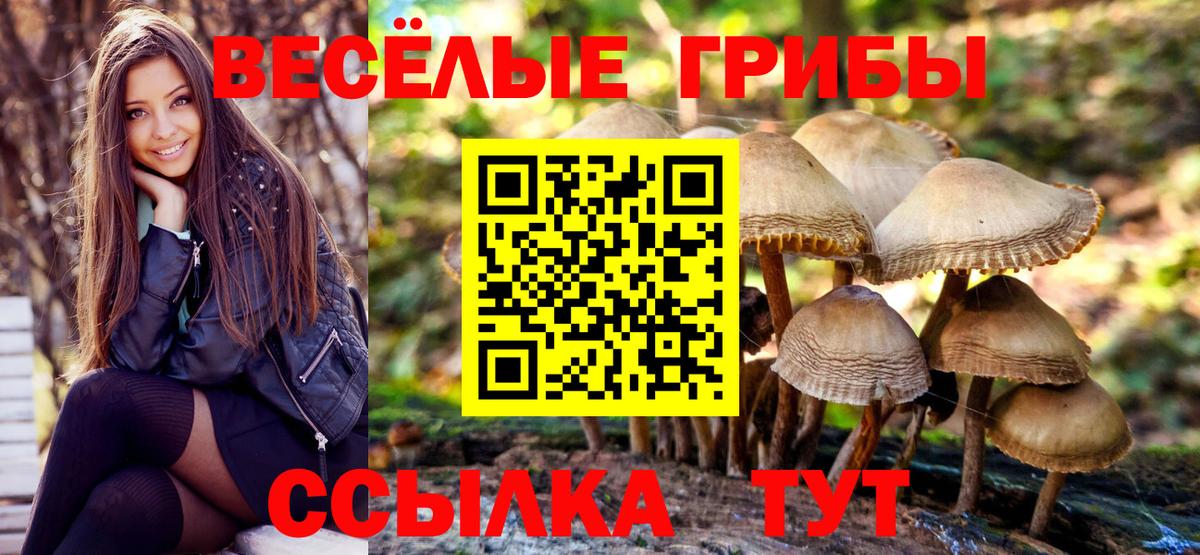 Холмск  наркошоп  Вход с VPN  Галлюциногенные грибы мухоморы 